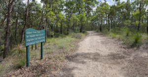 Bushcare Volunteering: Preserving Chermside Hills Reserves for the Future