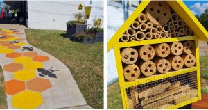 pollinator garden